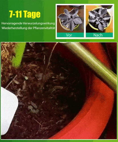 🎍🎋Kaufen Sie 3 für 5 (8 Flaschen）🌼Flüssige Lösung zur Aktivierung von Pflanzen und Blumen✨