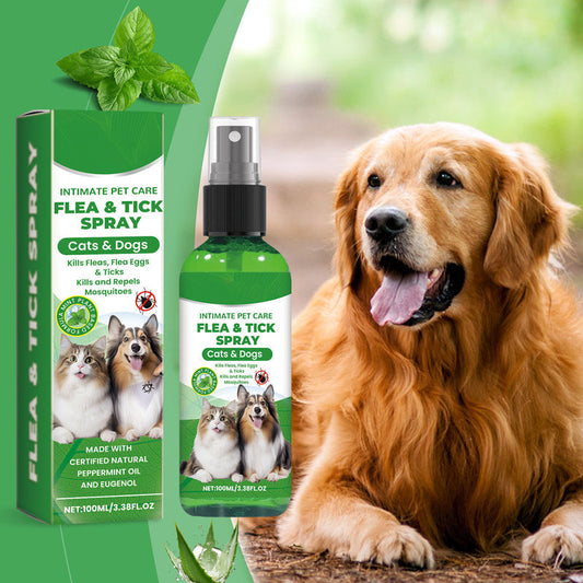Natürliches Floh- und Zeckenspray für Hunde & Katzen