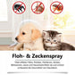 Natürliches Floh- und Zeckenspray für Hunde & Katzen