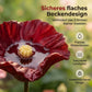 Farbenfrohe Vogeltränke mit Blumendesign