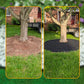 🔥 50% RABATT! 🌿 Schwarze Rasenkante – Flexible Beetbegrenzung für Garten, Rasen & Wege | Robust, Wetterfest & Einfach zu Installieren 🏡