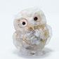 Niedlicher Eulen-Figur Deko 🦉 – Kompakte Tischdekoration in bunten Farben für Regal, Schreibtisch & Schlafzimmer ✨