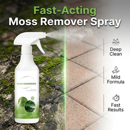 Moos- und Algenentferner-Spray für den Außenbereich