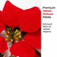 🎄🏠 Beleuchtete Poinsettien-Lichterkette – Flexible 2m Weihnachtsgirlande für Treppengeländer & Regale | Indoor