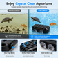Kotauffangbehälter für Schildkröten und Aquarienreiniger