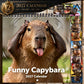 Lustiger Capybara-Wandkalender 2027 🗓️